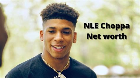 drake net worth 2024|nle choppa net worth 2024.